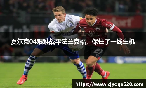 夏尔克04艰难战平法兰克福，保住了一线生机